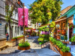Summer season in Skadarlija
