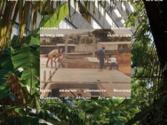 Prefabrication of solidarity
